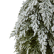 Close-up of the snow-dusted fir branches