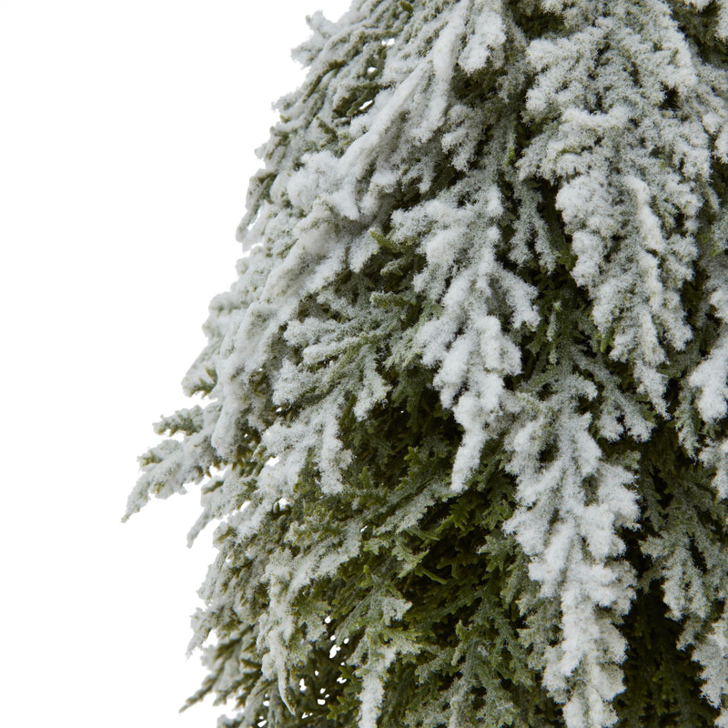 Close-up of the snow-dusted fir branches