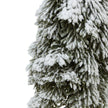 Close-up of the snow-dusted cedar branches