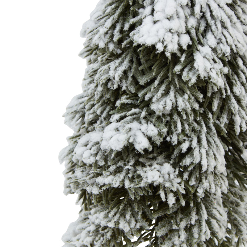 Close-up of the snow-dusted cedar branches