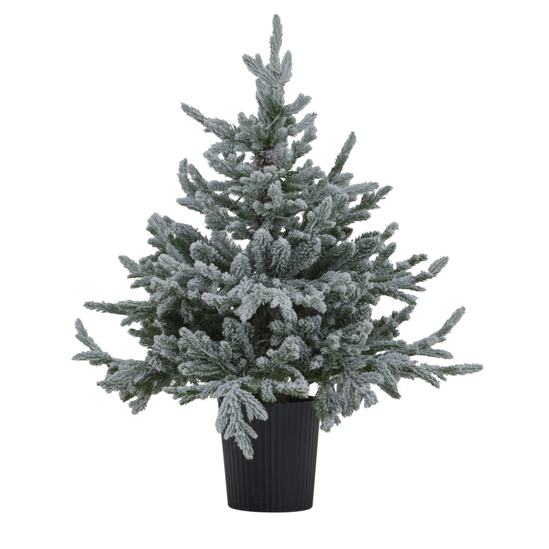 snowy fir tree in a black pot, unlit