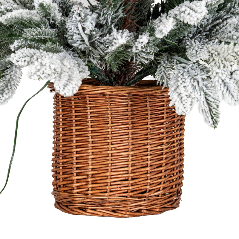 woven rattan pot below the snowy branches