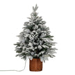 90cm snowy Norway fir Christmas tree in a woven rattan pot