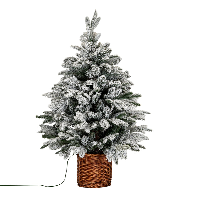 90cm snowy Norway fir Christmas tree in a woven rattan pot