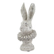 Stone-effect hare bust with ruffle collar, front view