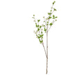 single tall artificial mock orange spray on white