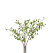mock orange sprays in a glass vase