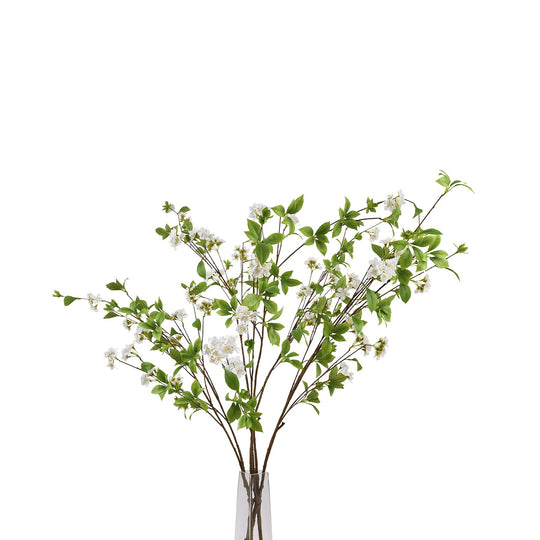 mock orange sprays in a glass vase