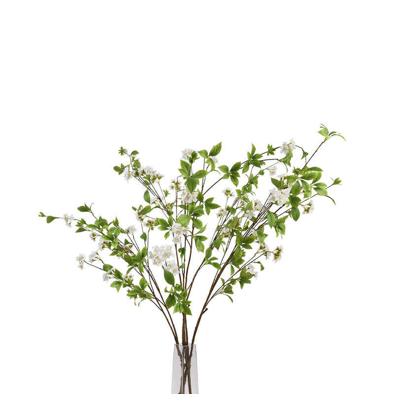 mock orange sprays in a glass vase