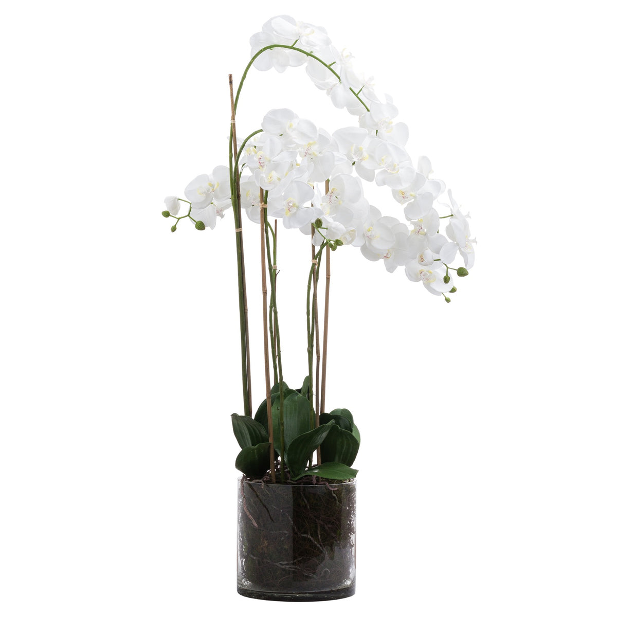 tall white artificial orchid in a clear glass pot