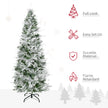 6ft snow-tipped pencil cypress tree – image 4