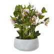 variegated pink artificial hellebore in a grey pot