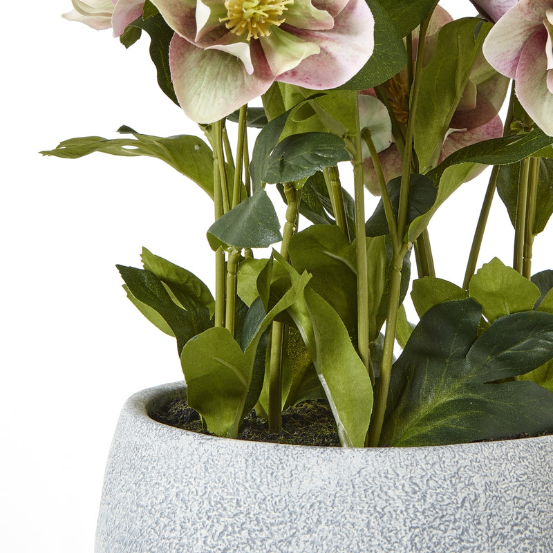 stems and the rim of the grey pot