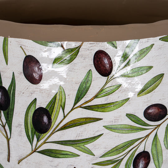 Close-up of the green olive branch design