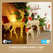 3-Piece Light-Up Reindeer Family shown in a festive display