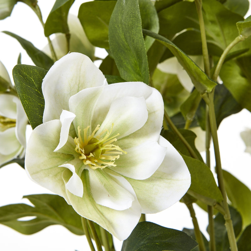 White Hellebore Artificial Plant in Grey Pot – 42cm, close-up of a white hellebore bloom