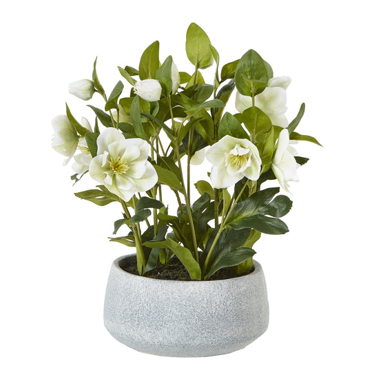 White Hellebore Artificial Plant in Grey Pot – 42cm, white artificial hellebore in a grey pot