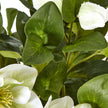 White Hellebore Artificial Plant in Grey Pot – 42cm, close-up of hellebore leaves and flowers