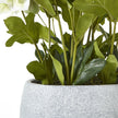 White Hellebore Artificial Plant in Grey Pot – 42cm, stems and the rim of the grey pot
