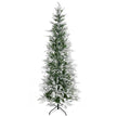 7ft snow-tipped pencil cypress tree – image 10