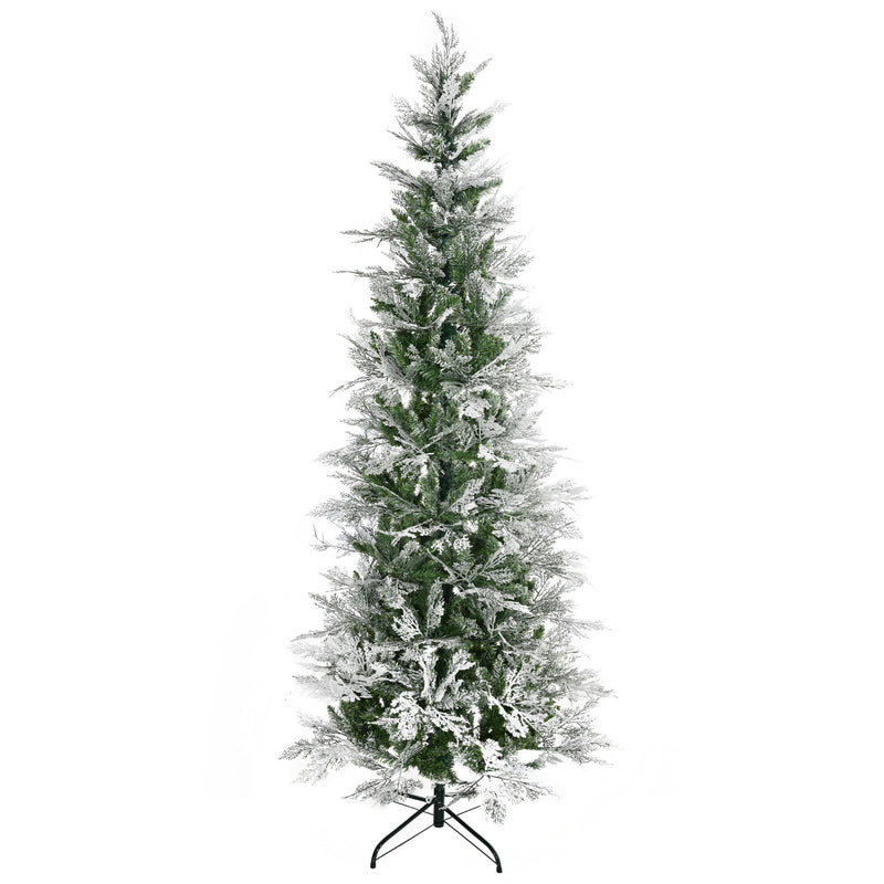 7ft snow-tipped pencil cypress tree – image 10
