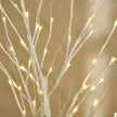 Close-up of the tree lights and foliage